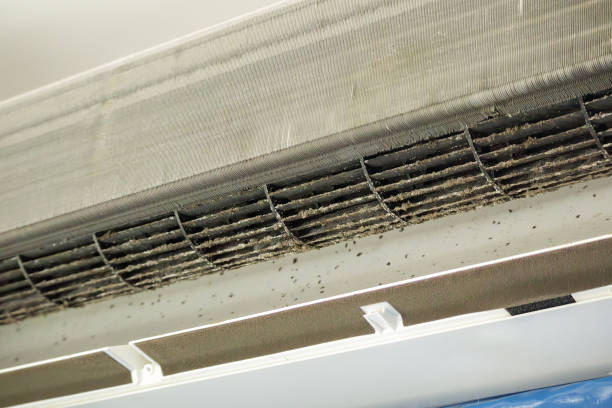 Best Professional Duct Cleaning Services  in El Portal, FL